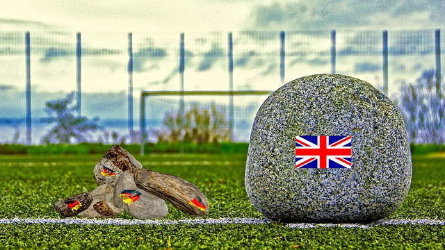 案例分析 案例分析