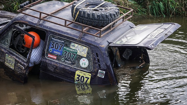 了交流切磋 了交流切磋